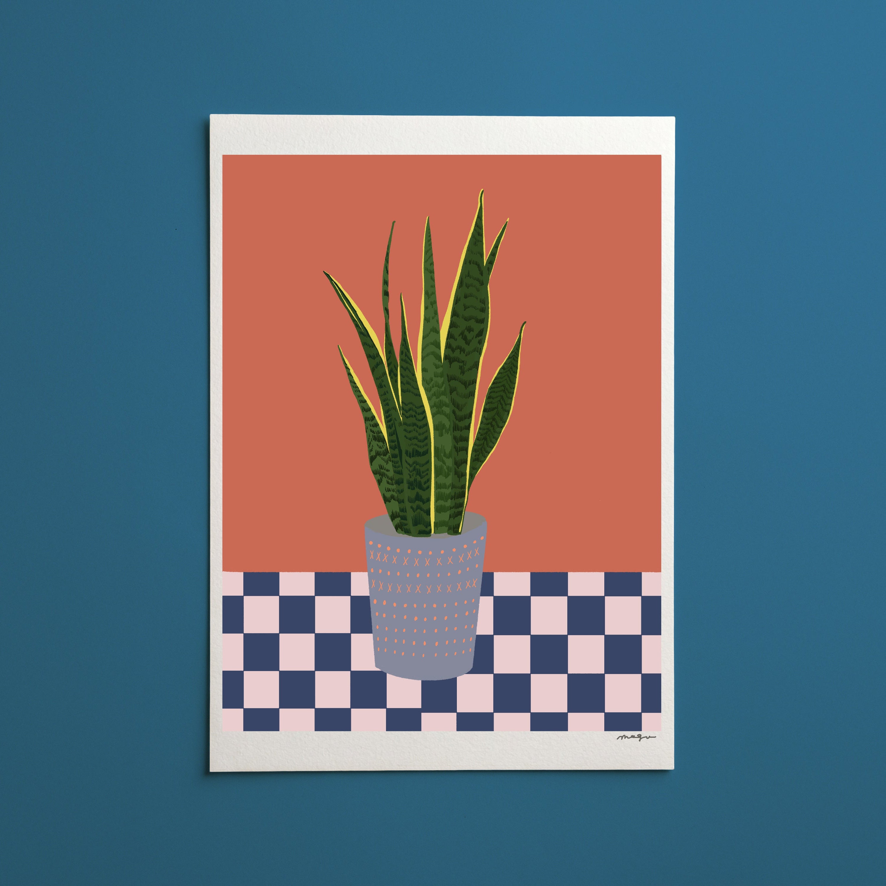 snake plant illustration Sansevieria plant art print/plant illustration / snake plant print