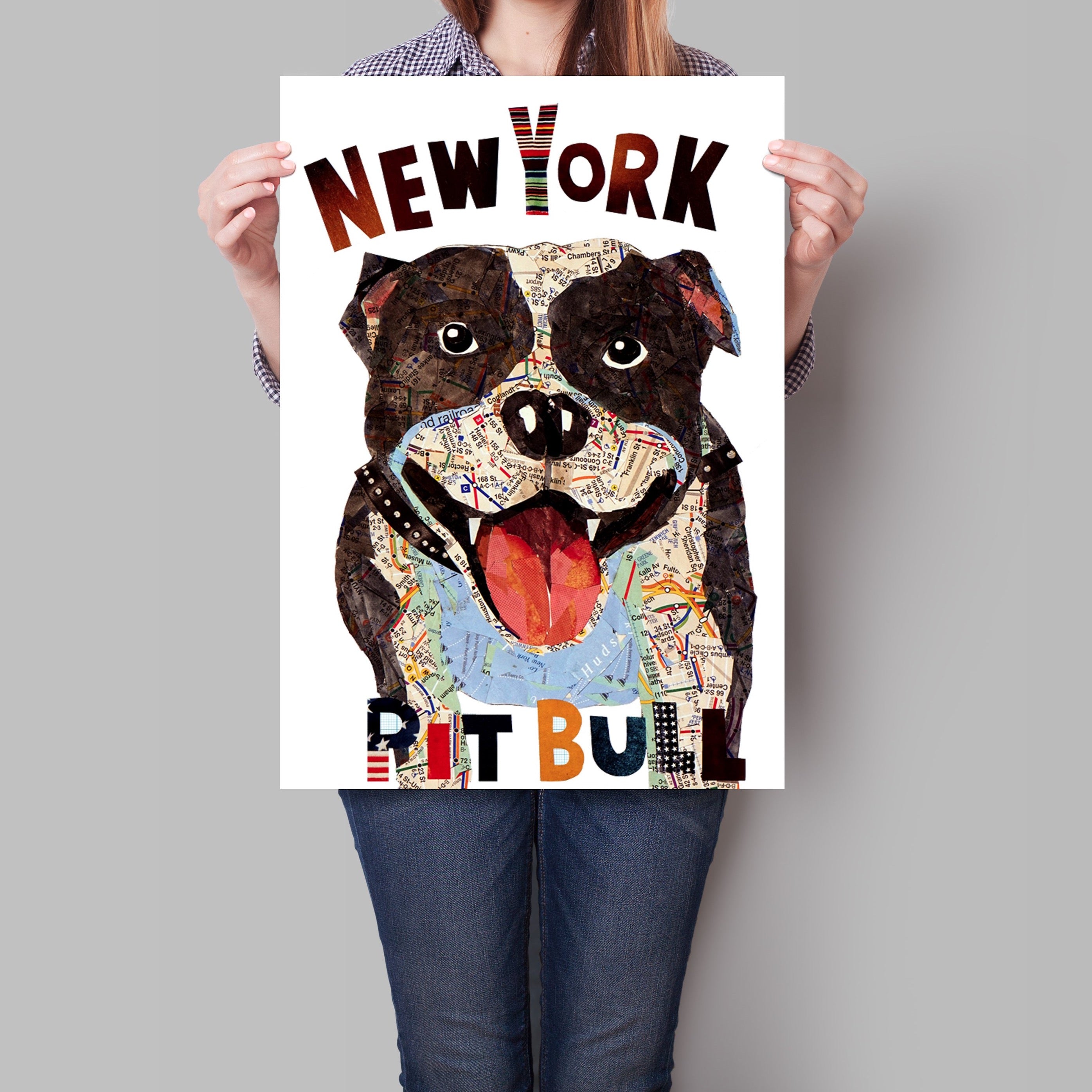 Map dog Pit Bull New York