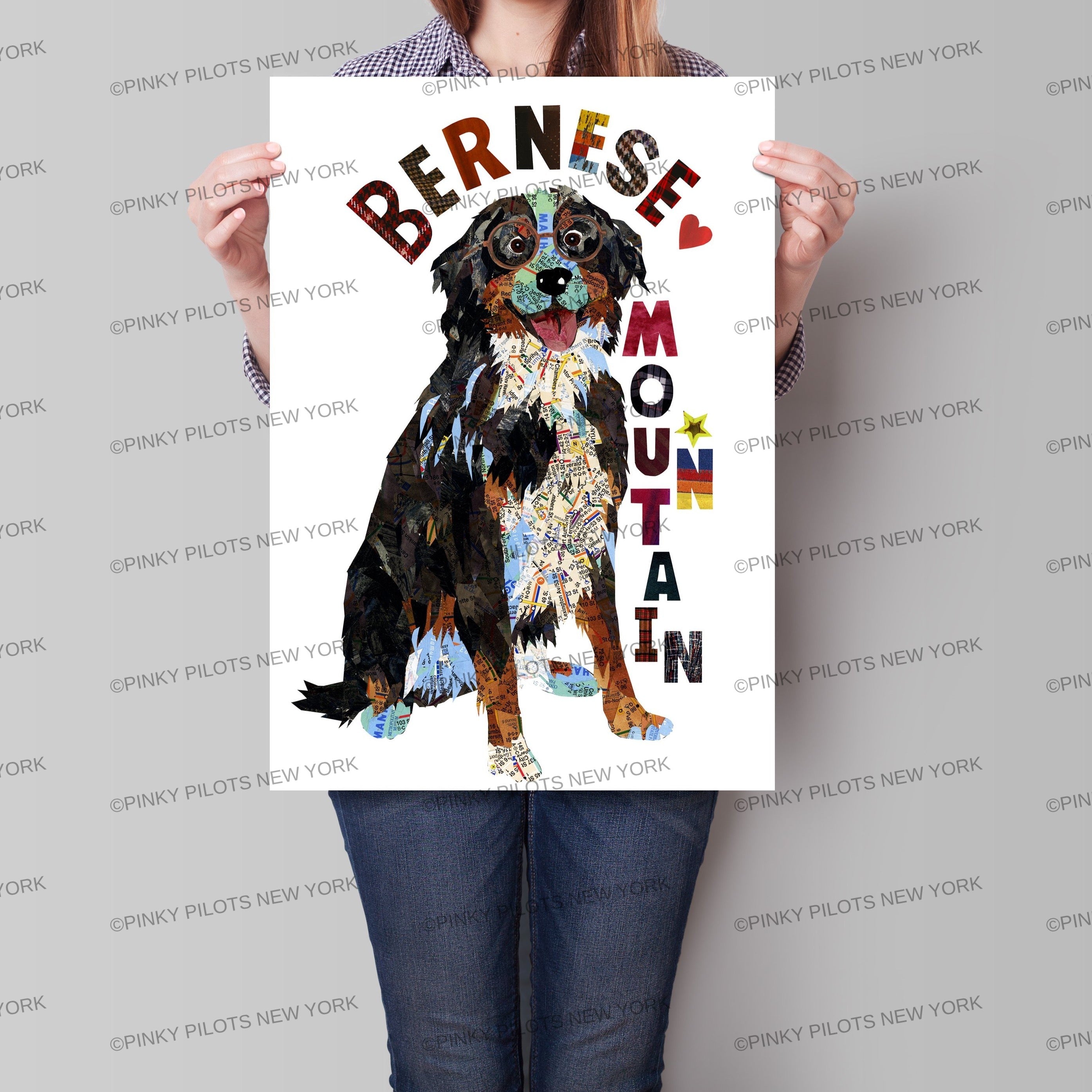 Map dog "BERNESE MOUNTAIN DOG"