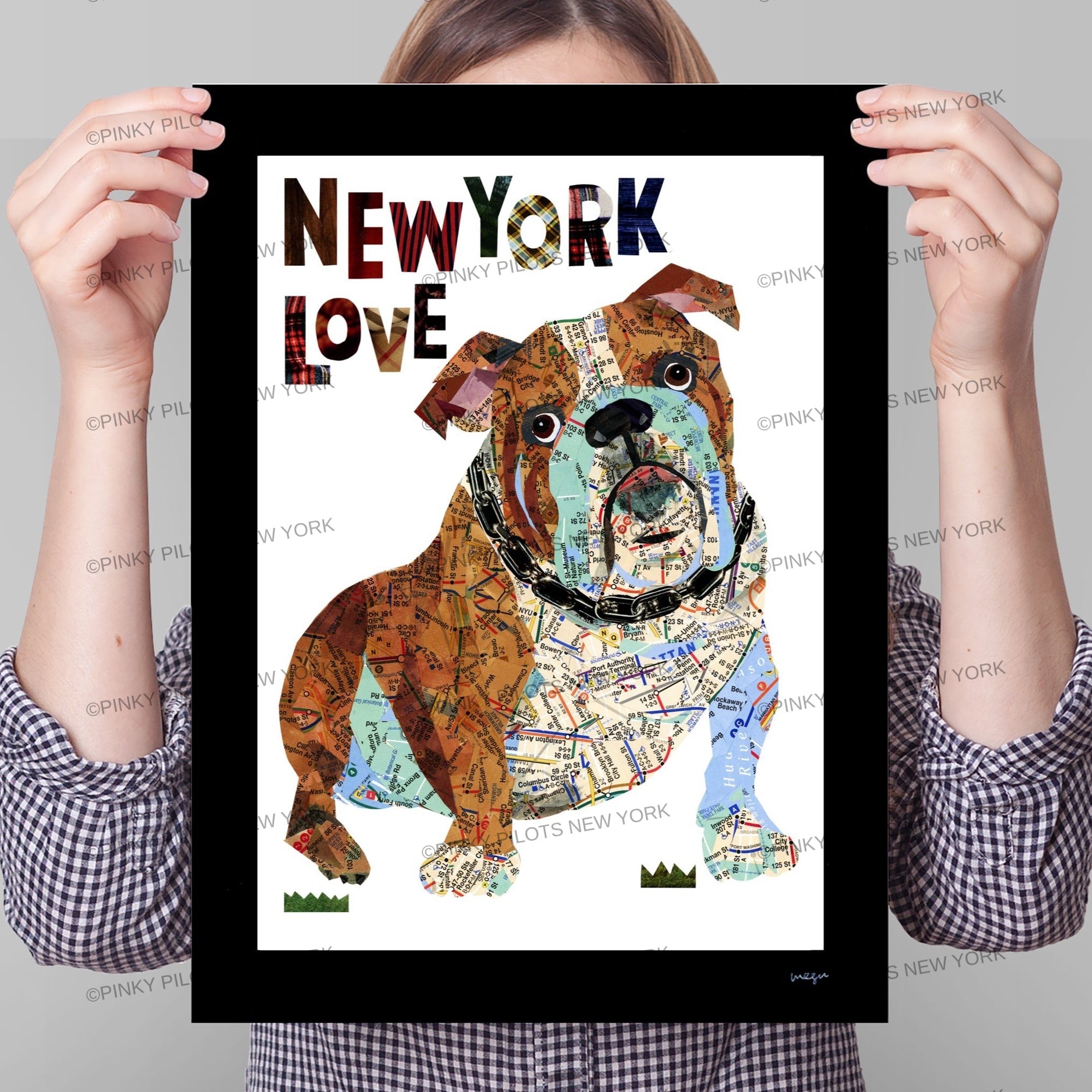 Map dog English Bull Dog