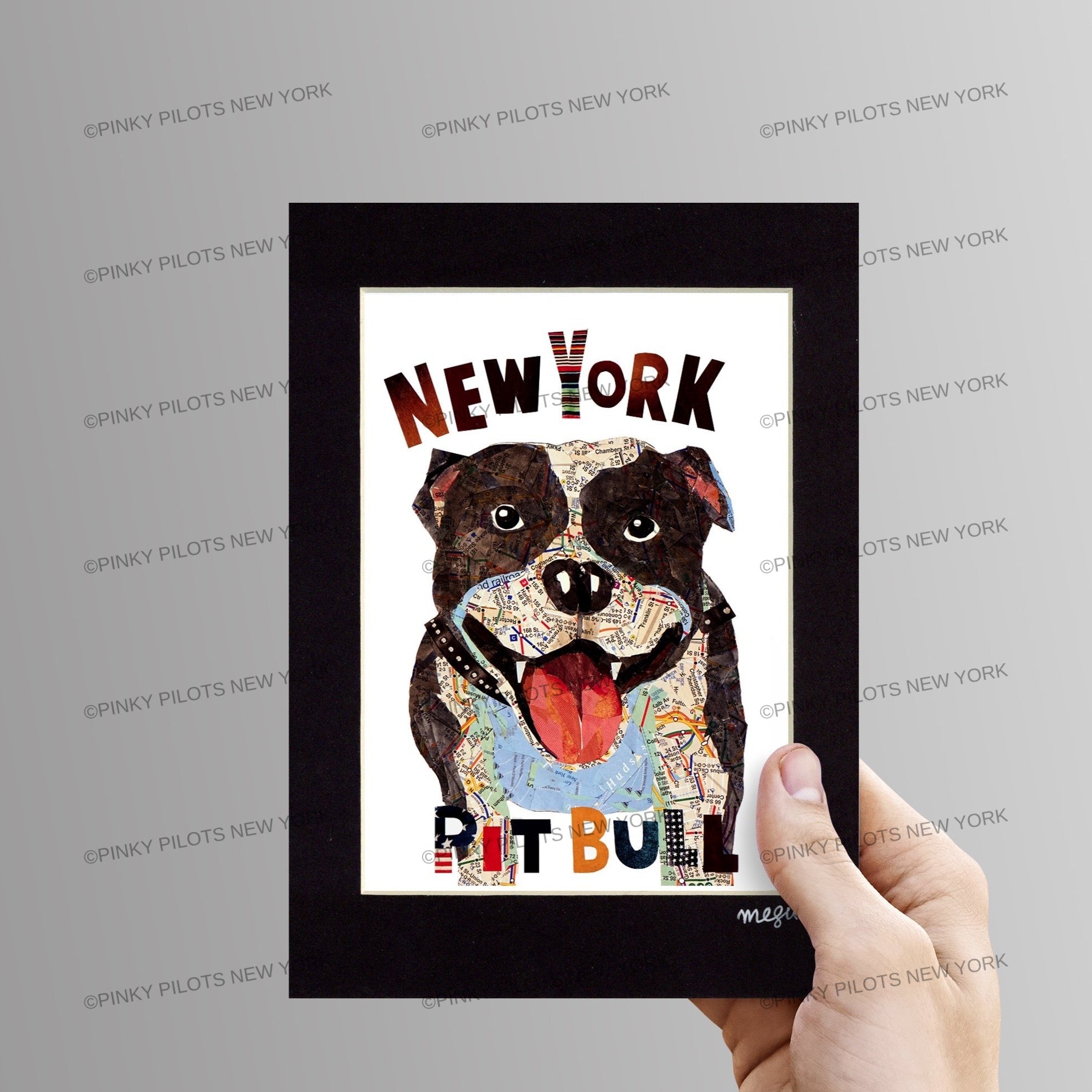 Map dog Pit Bull New York