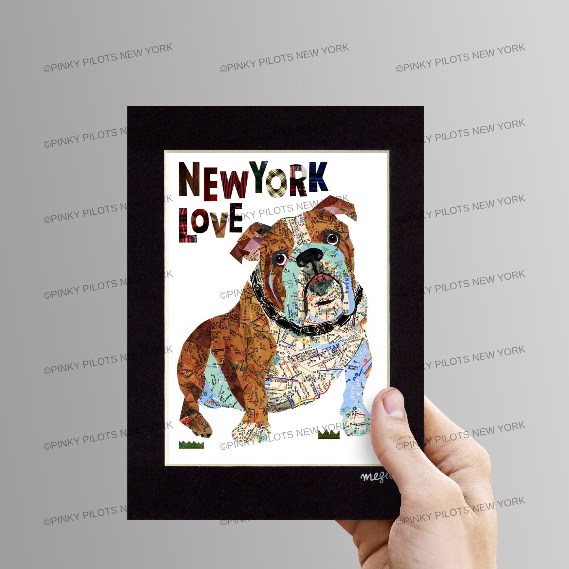 Map dog English Bull Dog
