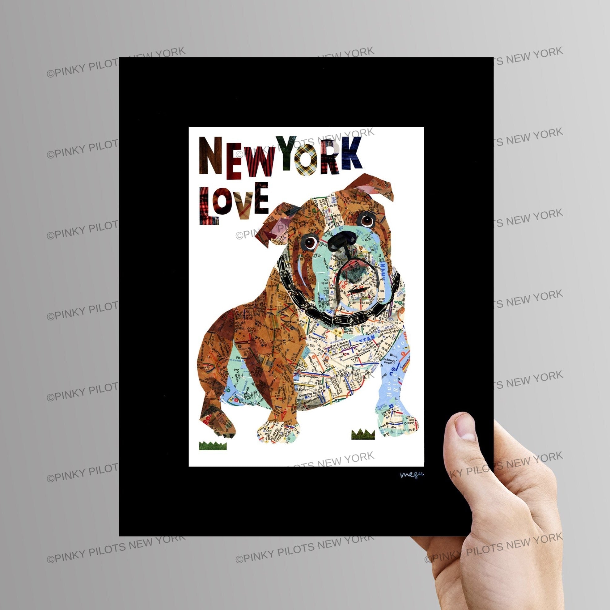 Map dog English Bull Dog