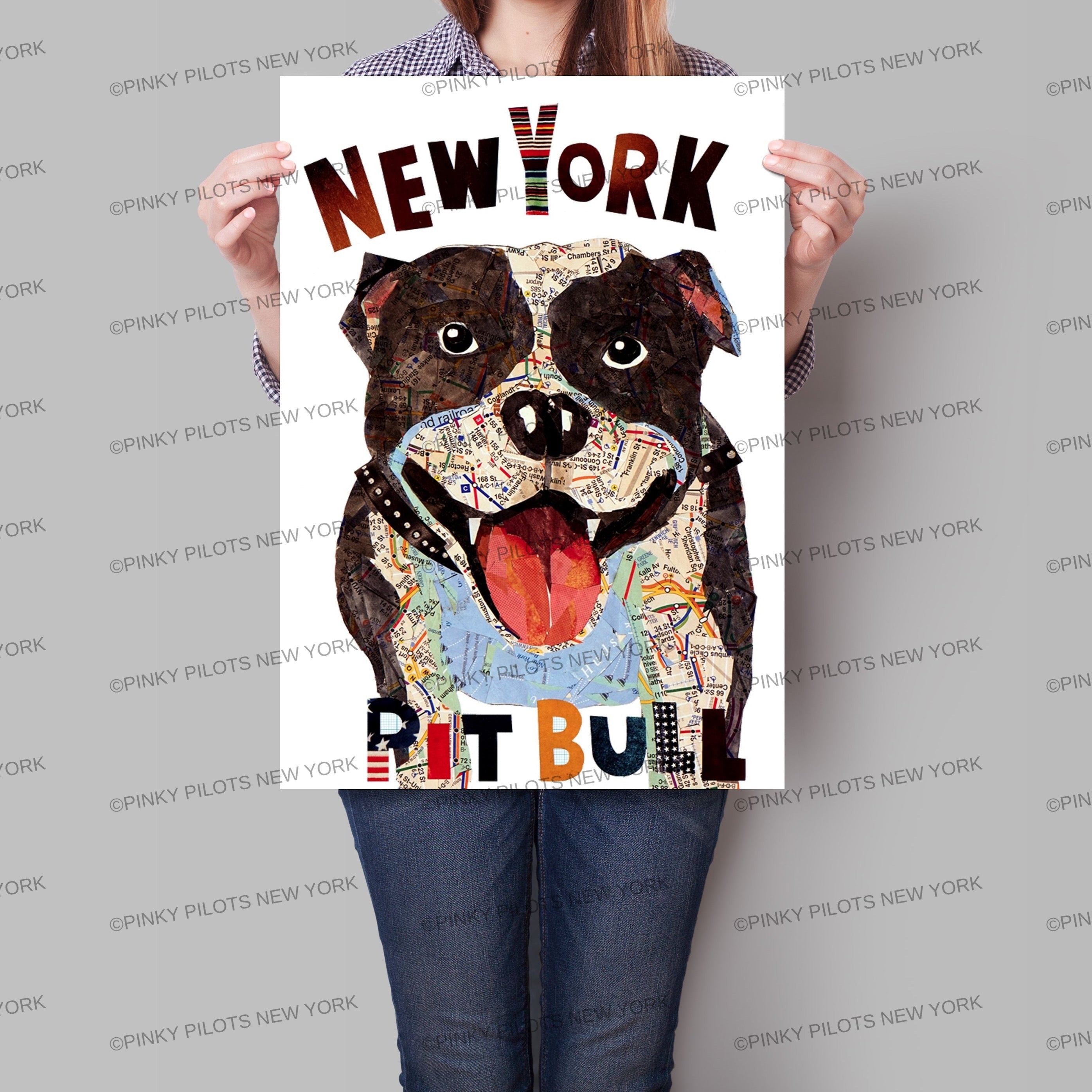 Map dog Pit Bull New York