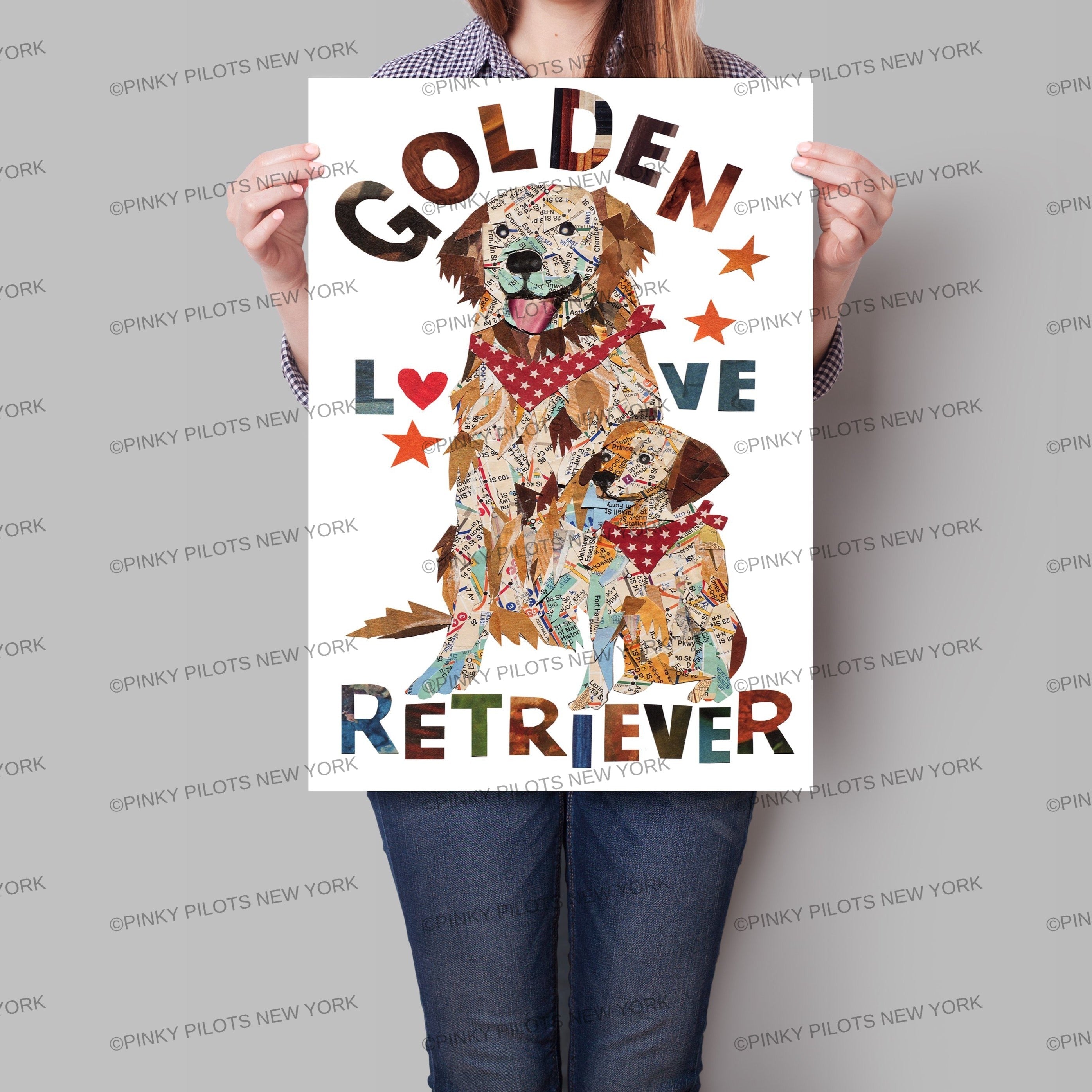 Map dog love golden dog/ Golden retriever
