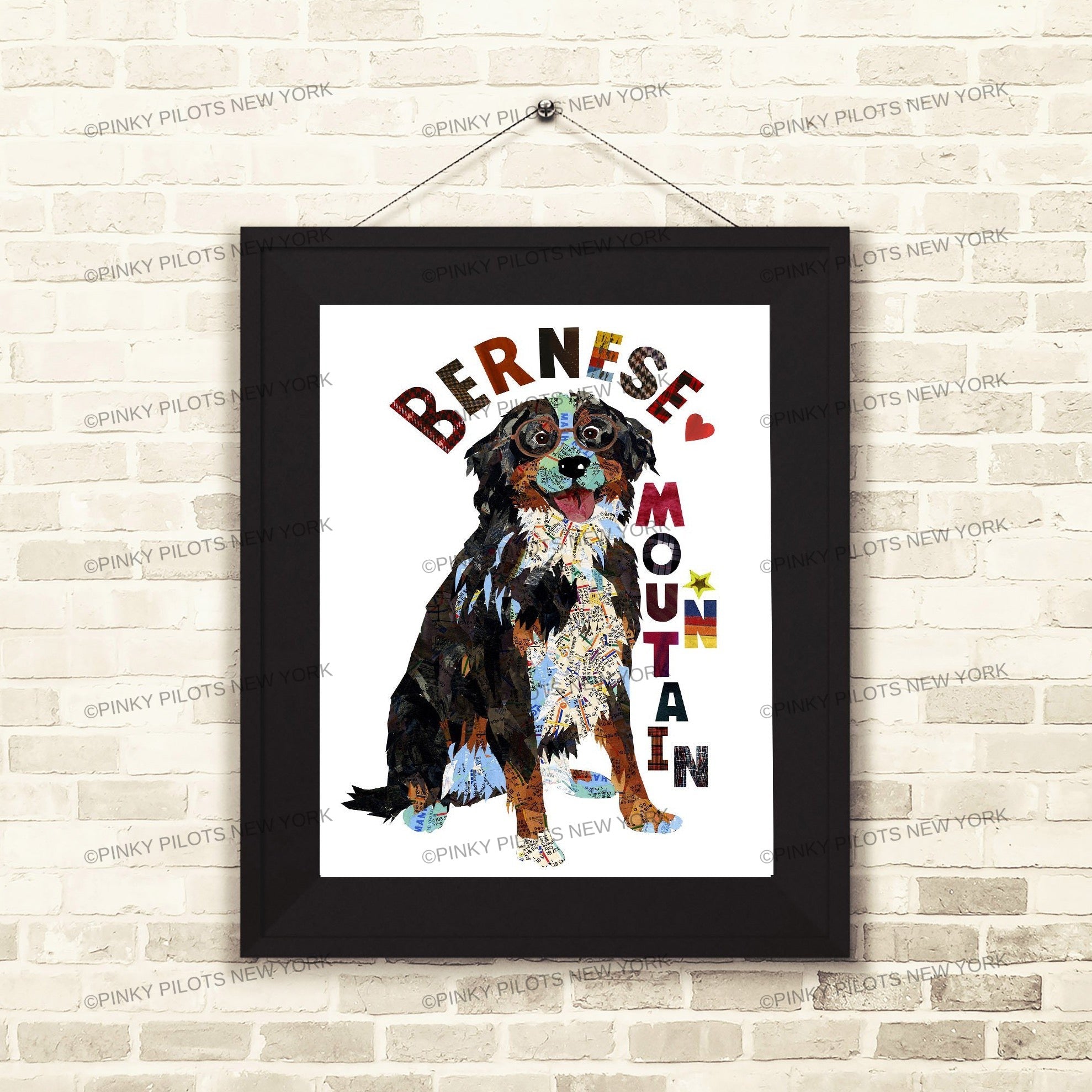 Map dog "BERNESE MOUNTAIN DOG"