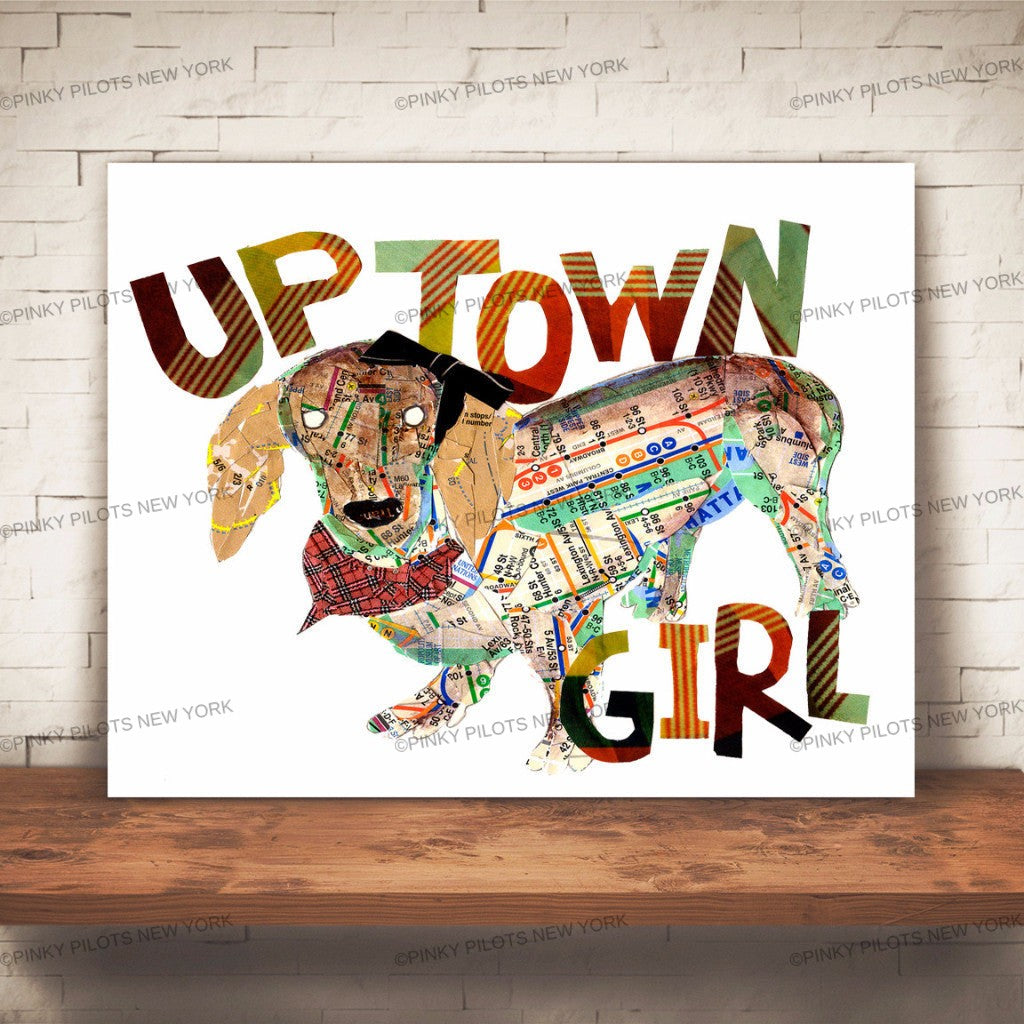 Map dog "UPTOWN GIRL"