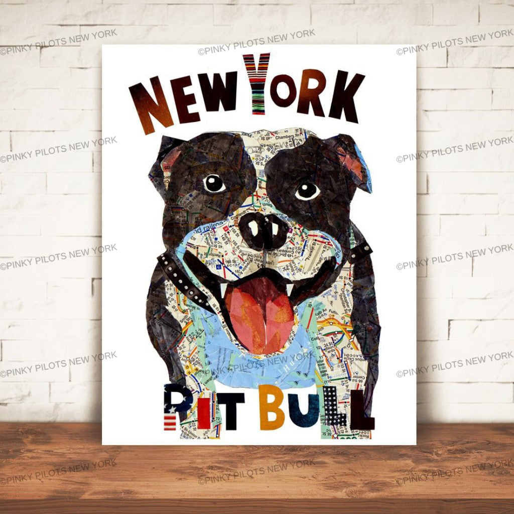 Map dog Pit Bull New York