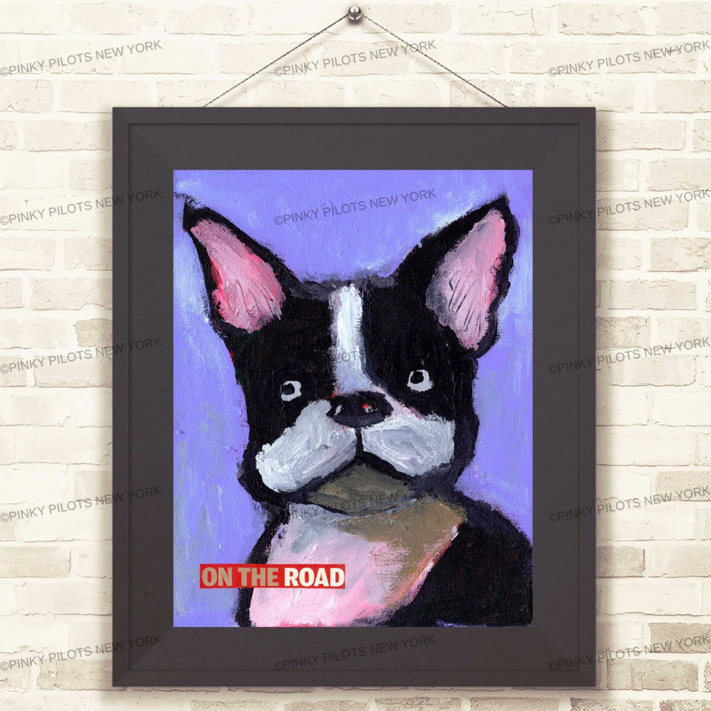On the road/ Boston terrier