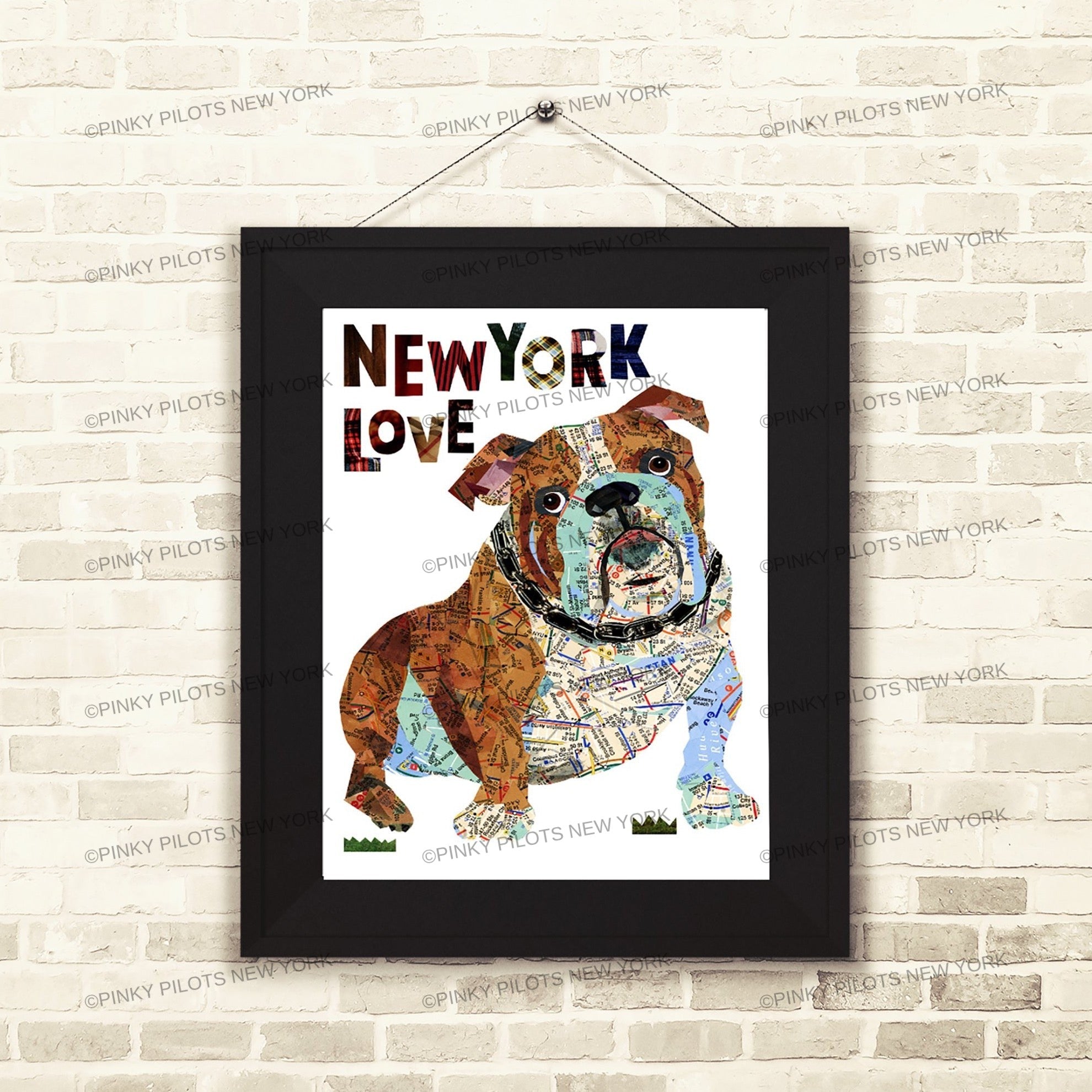 Map dog English Bull Dog