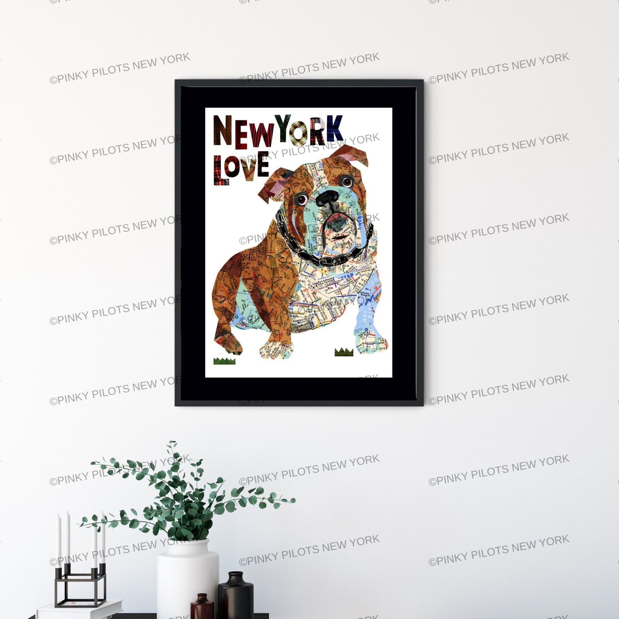 Map dog English Bull Dog