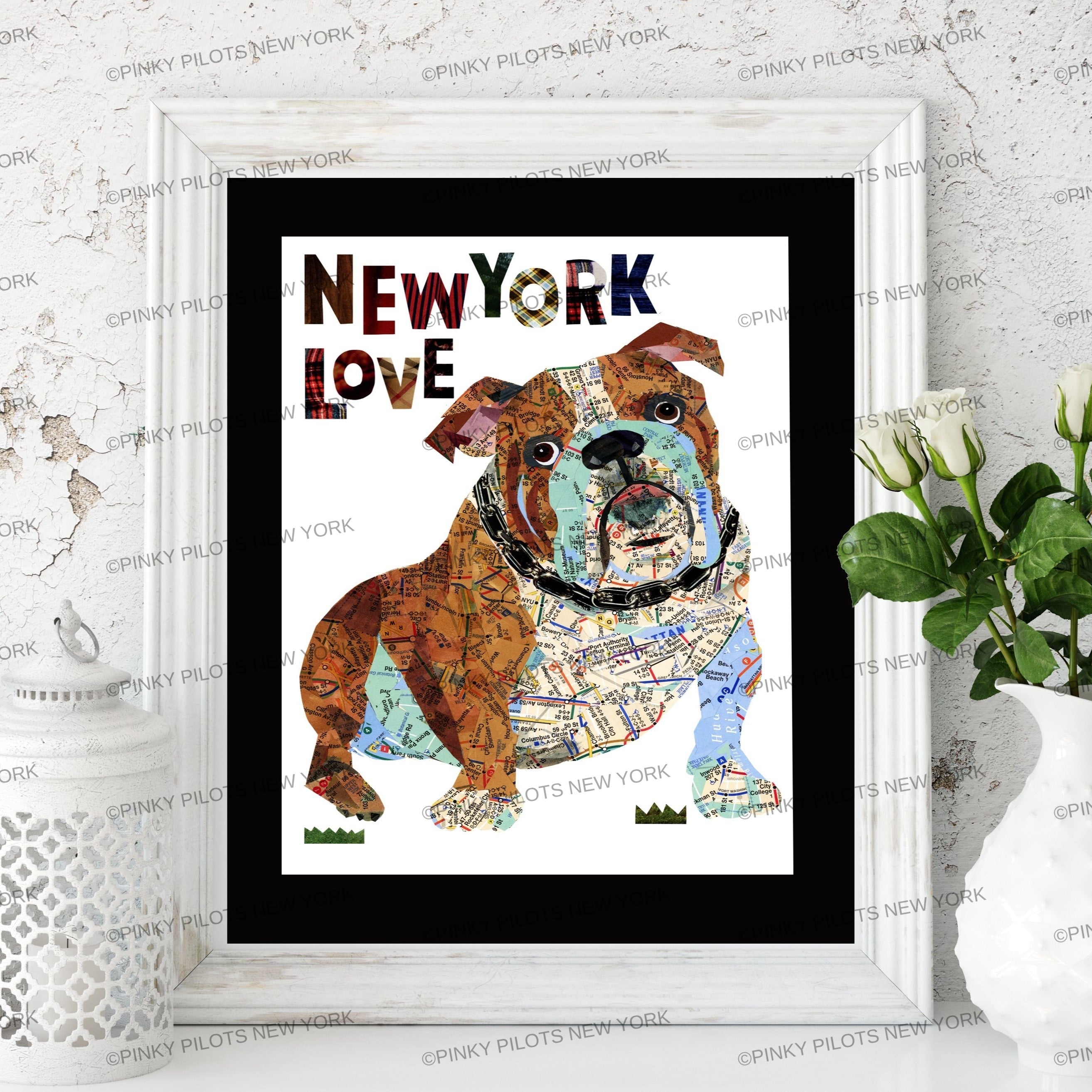 Map dog English Bull Dog