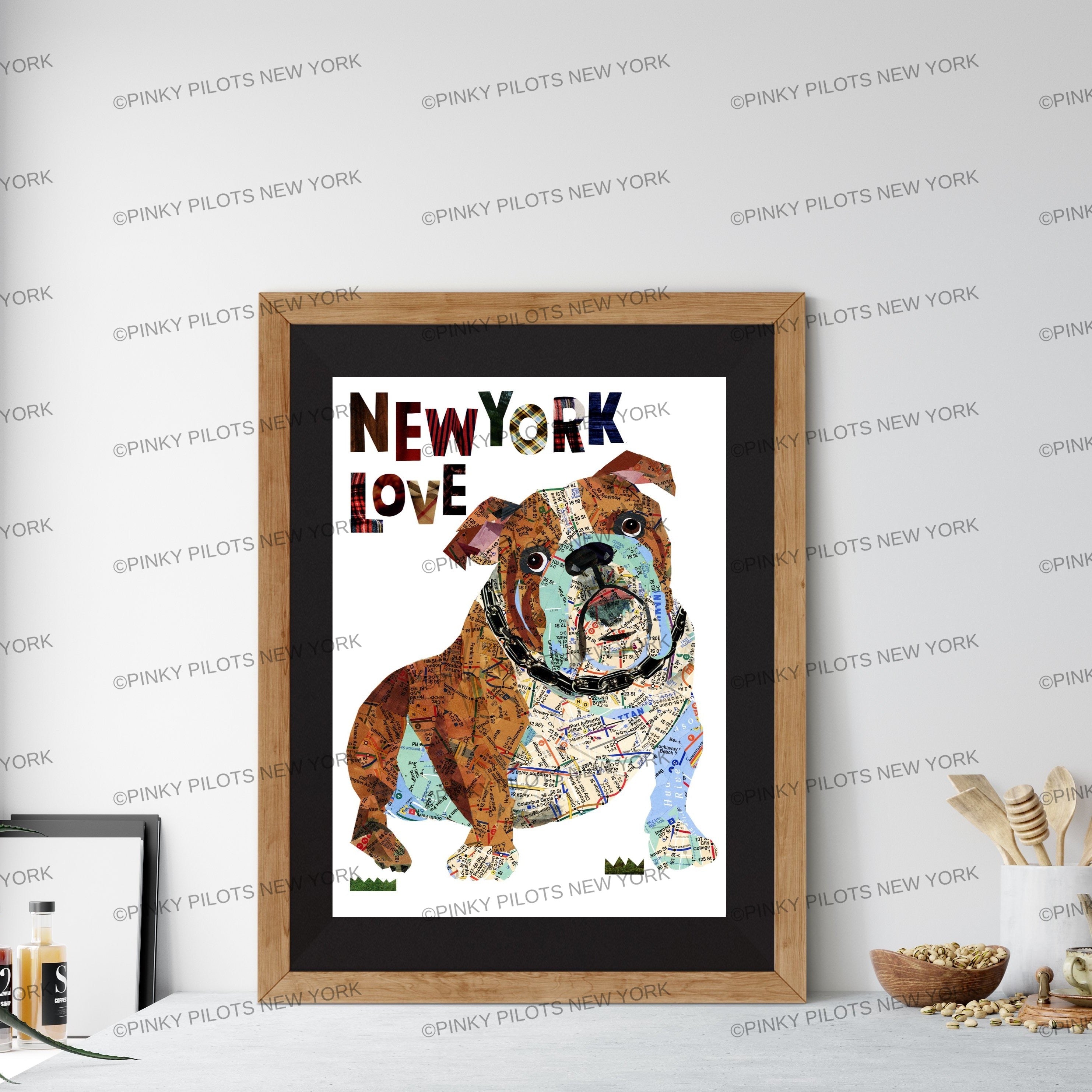 Map dog English Bull Dog