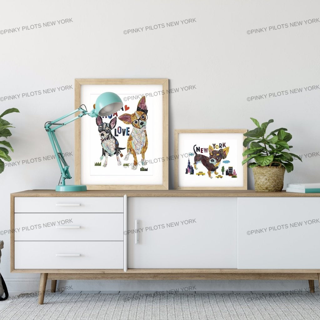 Map dog love teacup chihuahua Dog