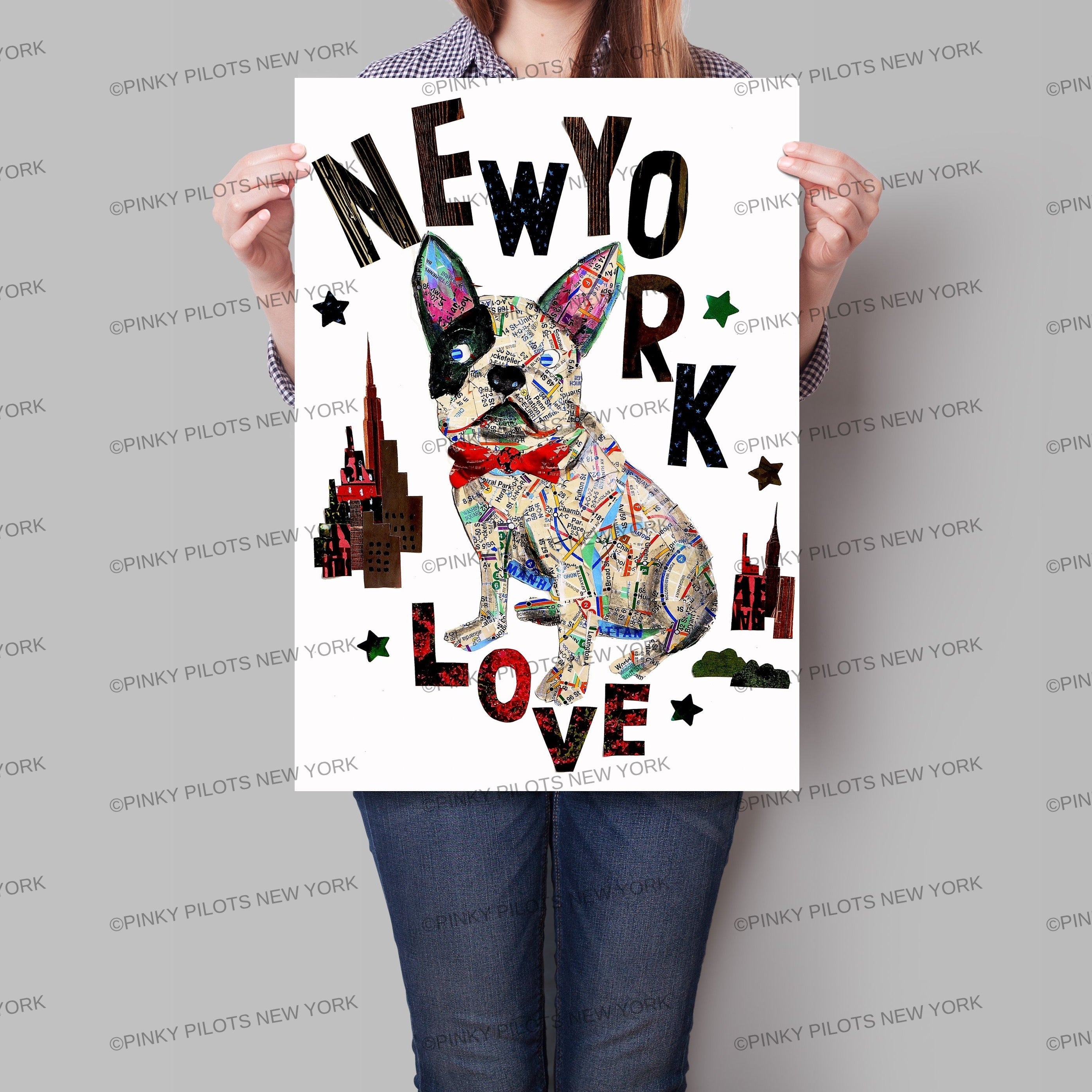 Map dog love french bull dog