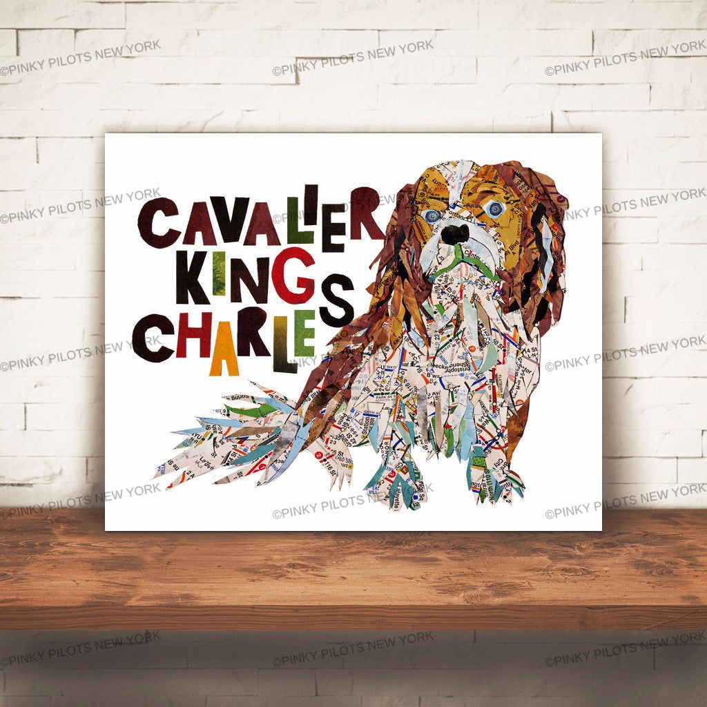 Map dog love Cavalier king Charles Spaniel