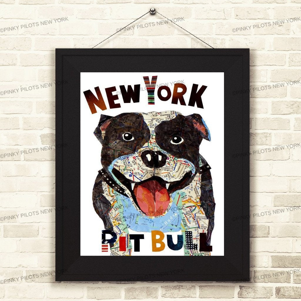 Map dog Pit Bull New York