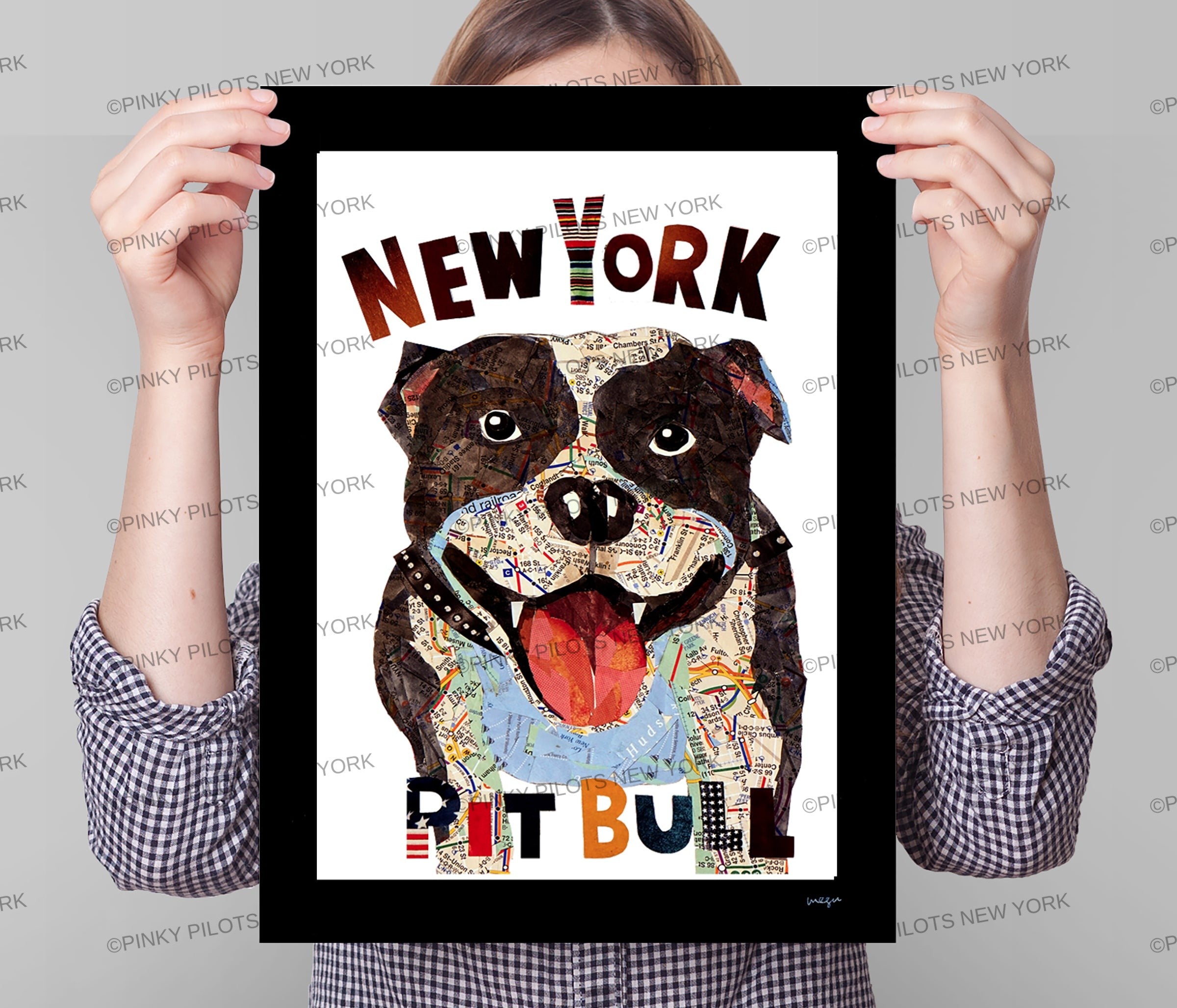 Map dog Pit Bull New York