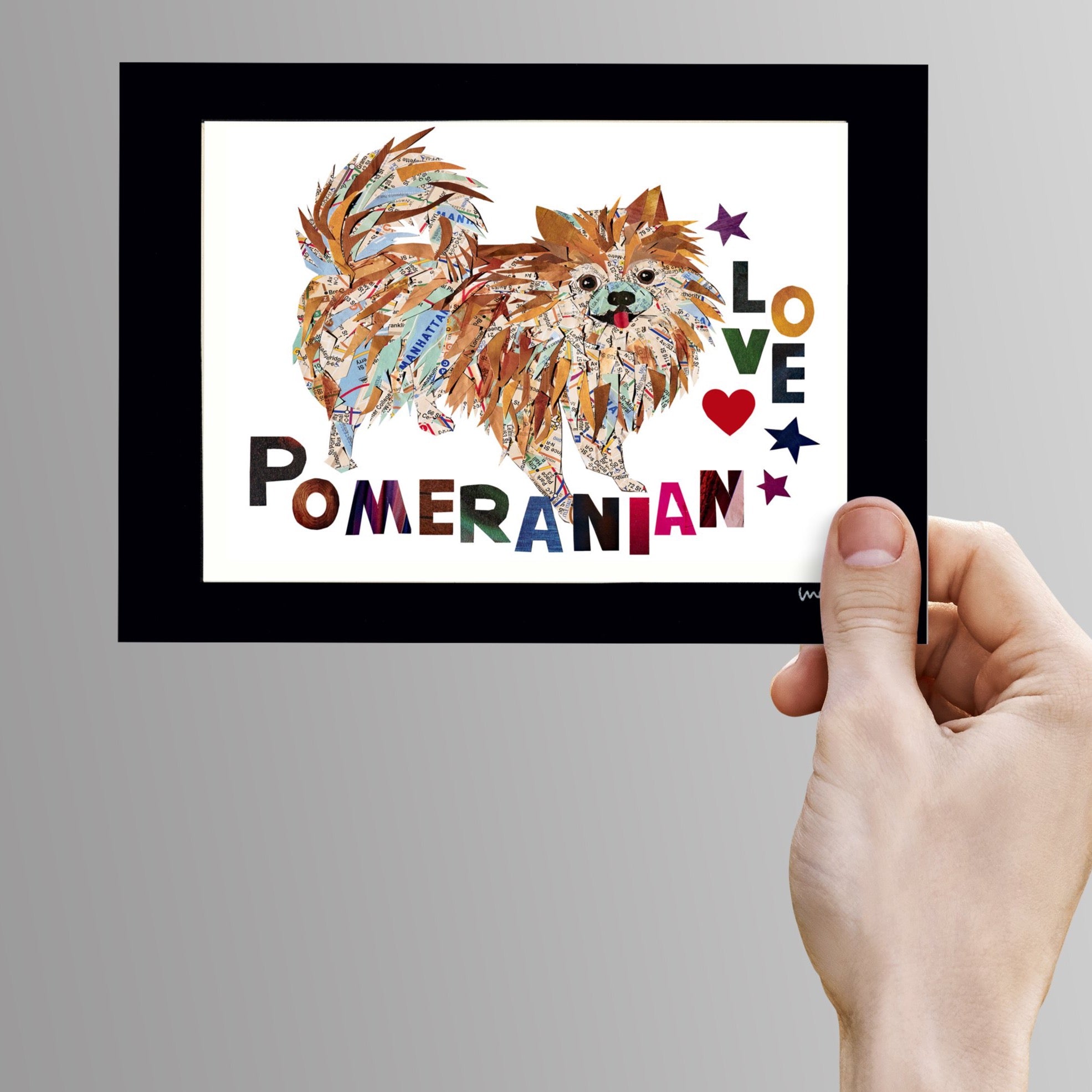 Map dog love Pomeranian