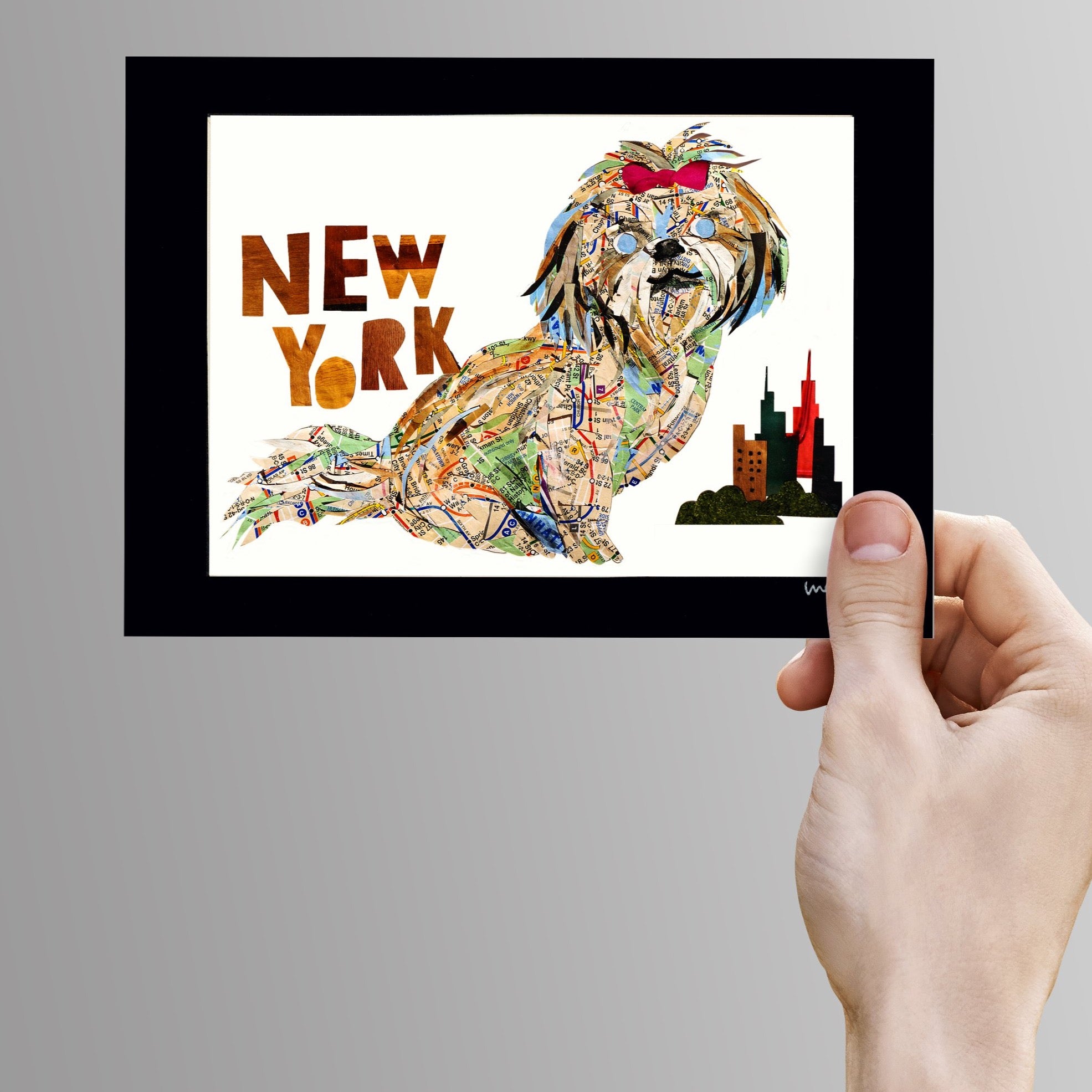 Map dog "New York Shih-Tzu"