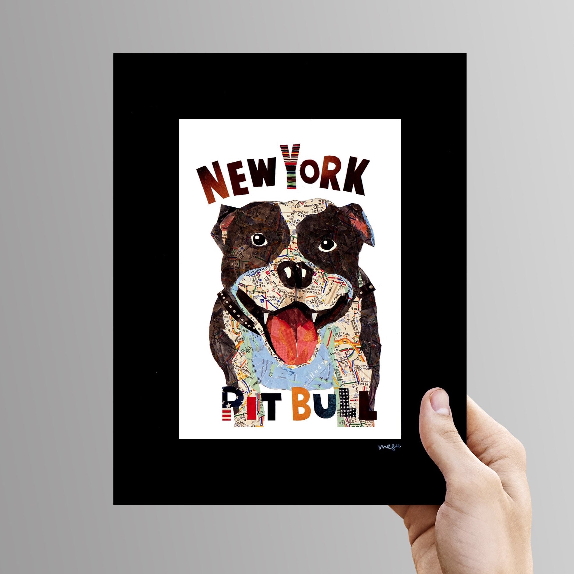 Map dog Pit Bull New York