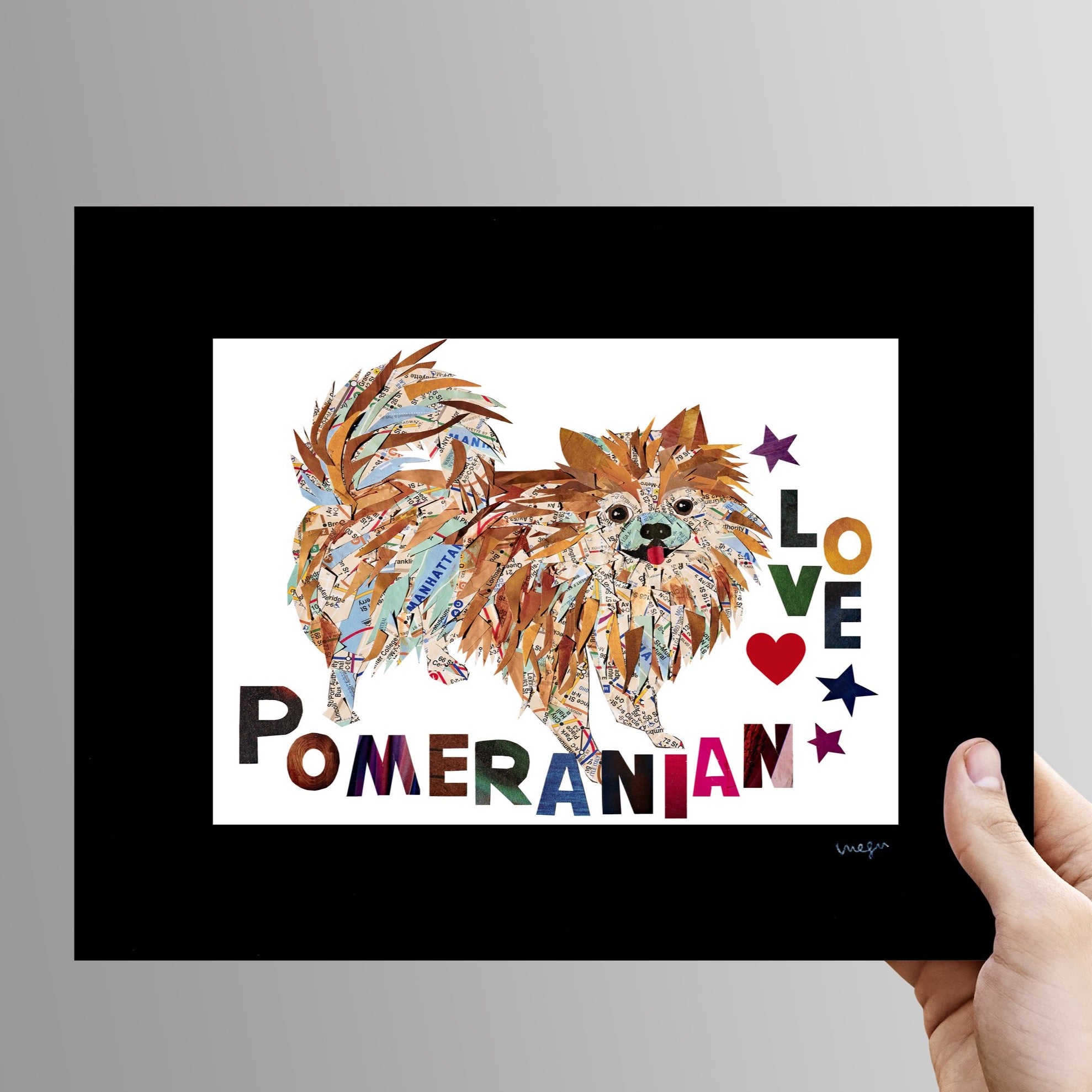 Map dog love Pomeranian