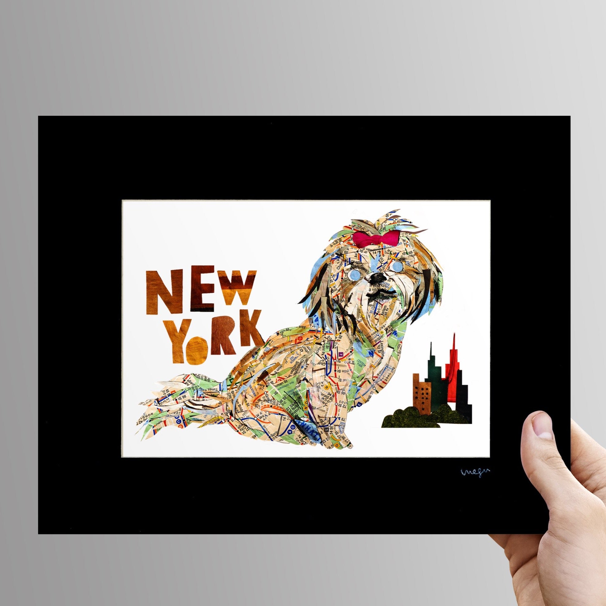 Map dog "New York Shih-Tzu"