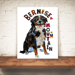Map dog "BERNESE MOUNTAIN DOG"