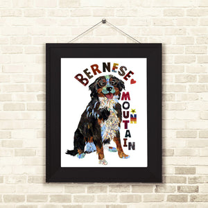 Map dog "BERNESE MOUNTAIN DOG"