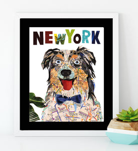 Map dog New York Australian shepherd/Aussie dog ar