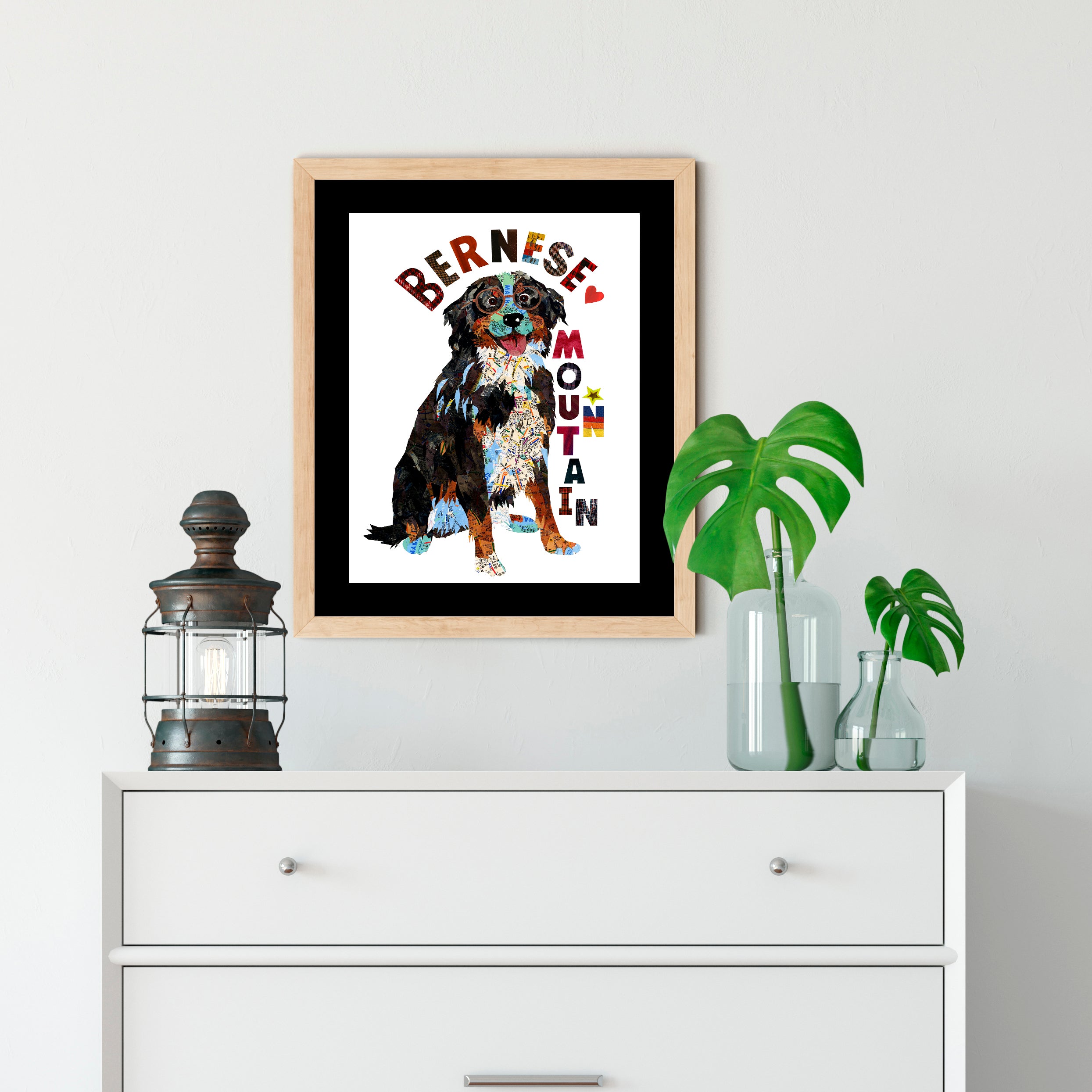 Map dog "BERNESE MOUNTAIN DOG"