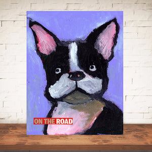 On the road/ Boston terrier