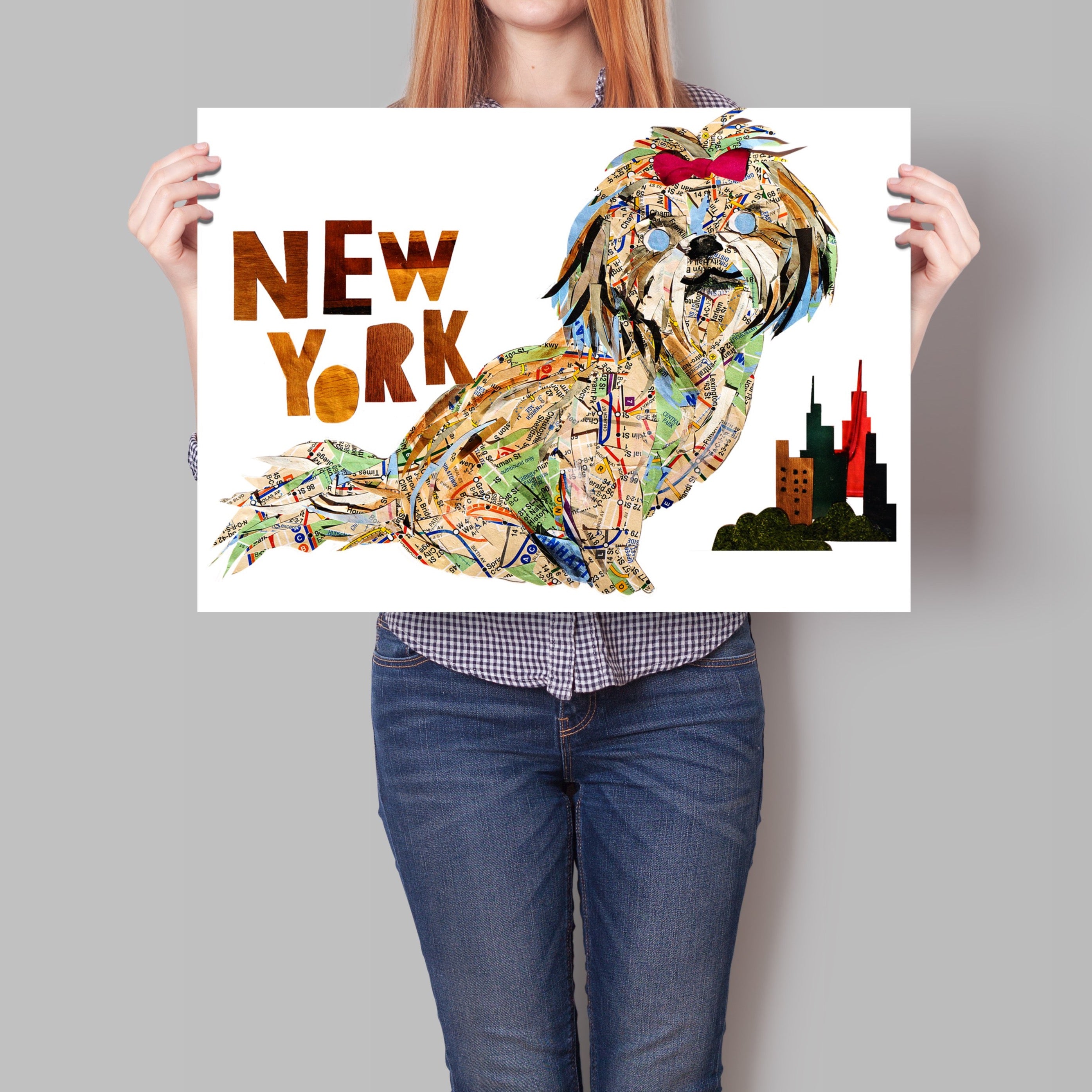 Map dog "New York Shih-Tzu"