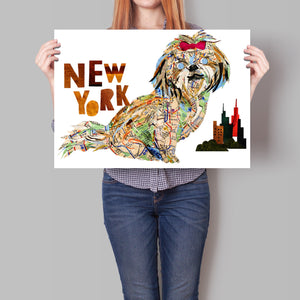 Map dog "New York Shih-Tzu"