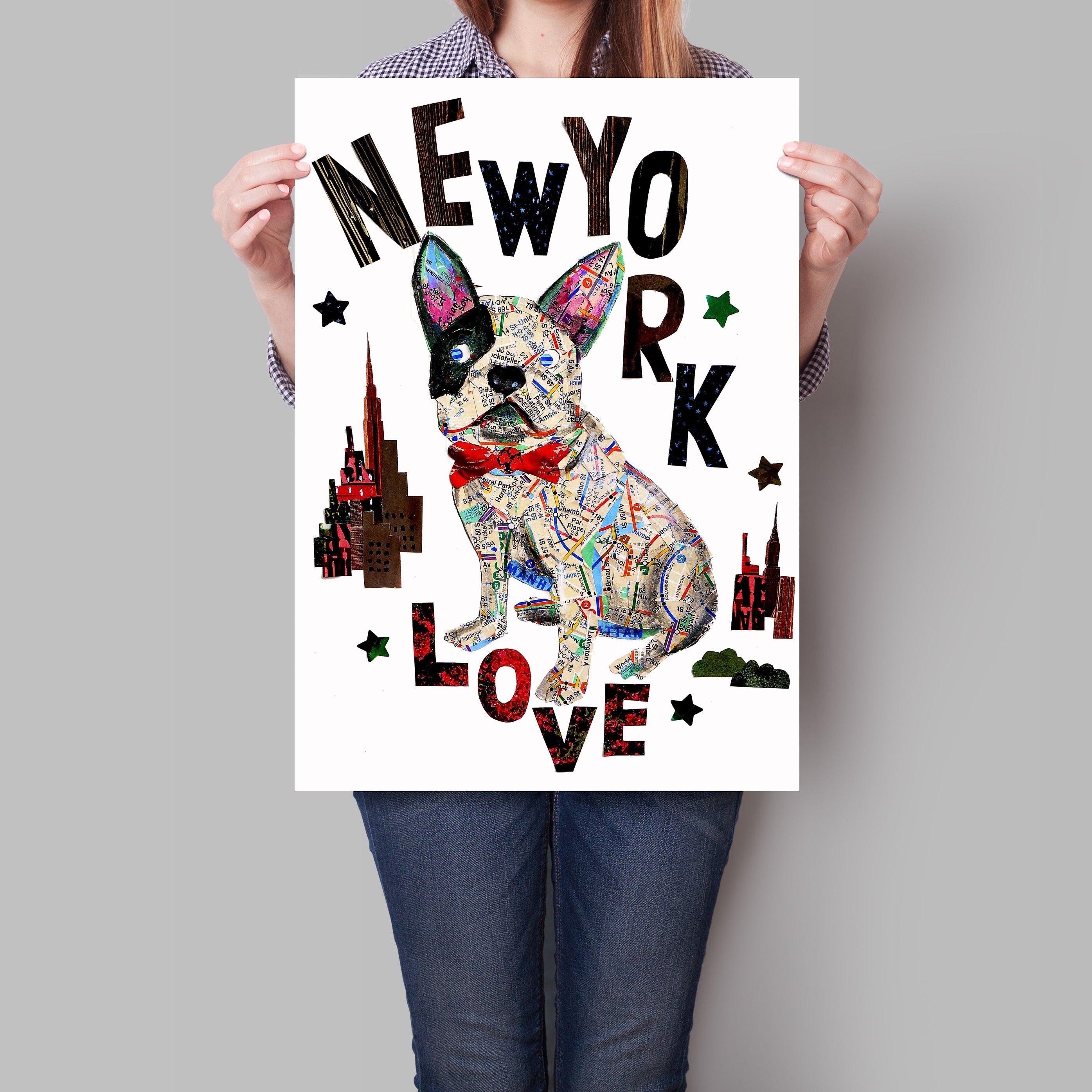 Map dog love french bull dog