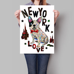 Map dog love french bull dog