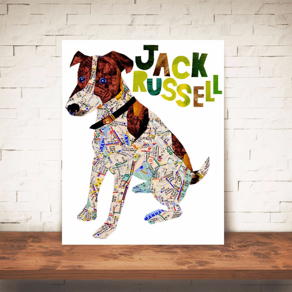 Map dog Jack Russell