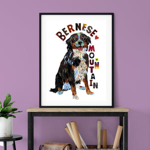 Map dog "BERNESE MOUNTAIN DOG"