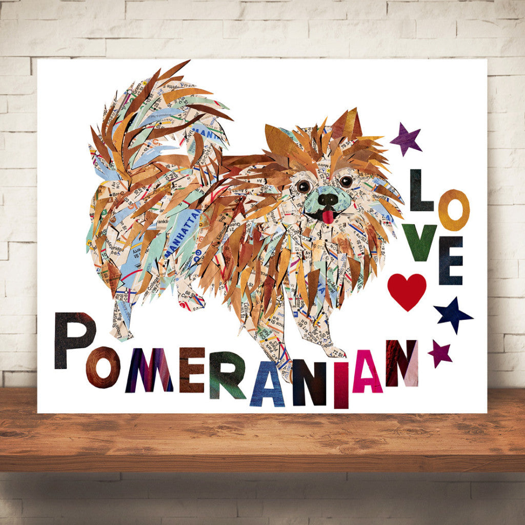 Map dog love Pomeranian