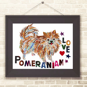 Map dog love Pomeranian