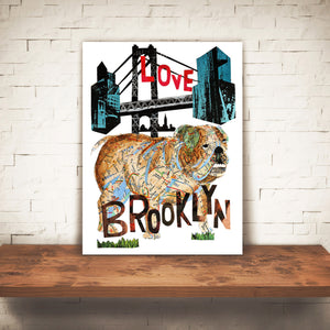 Map dog love BROOKLYN BULL DOG