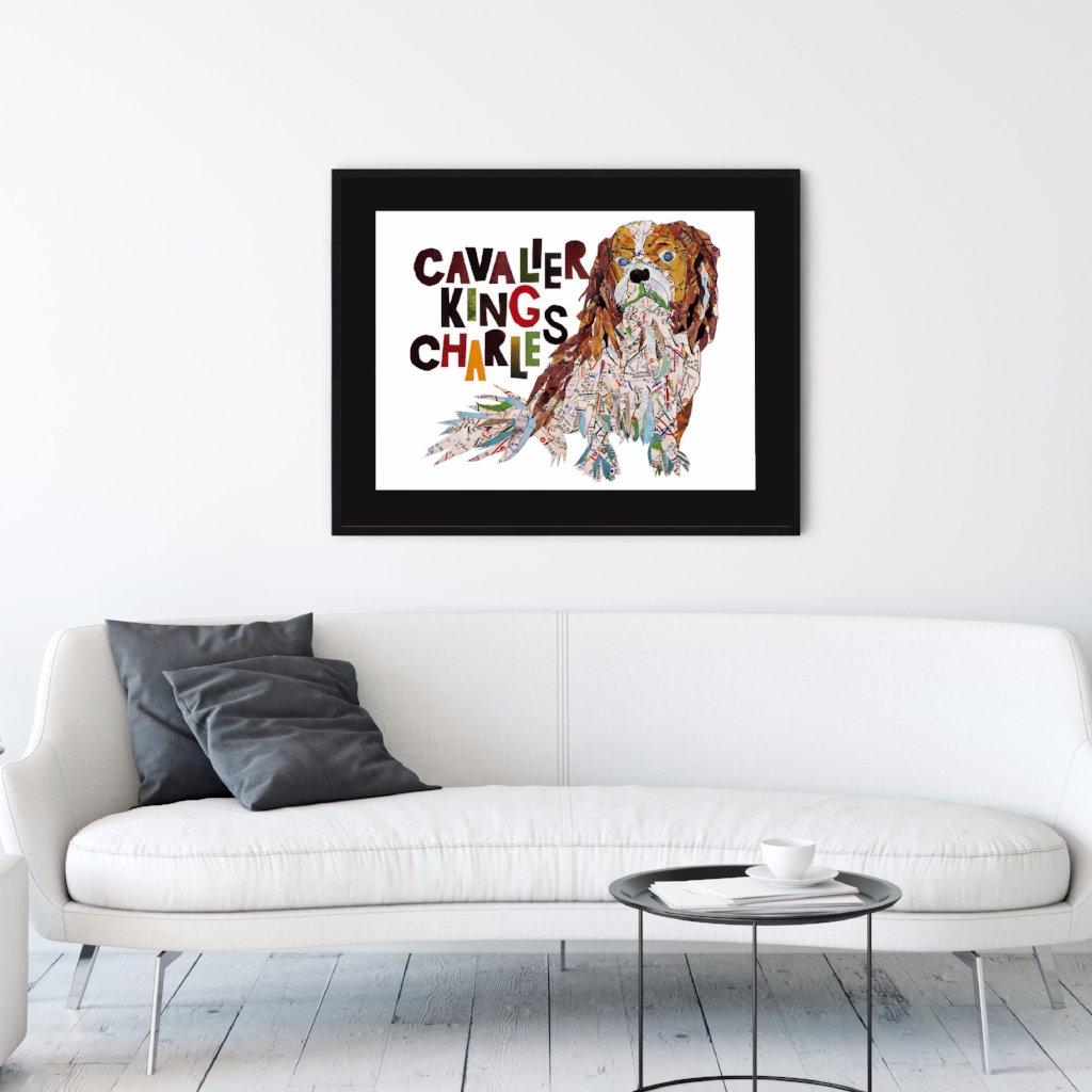 Map dog love Cavalier king Charles Spaniel